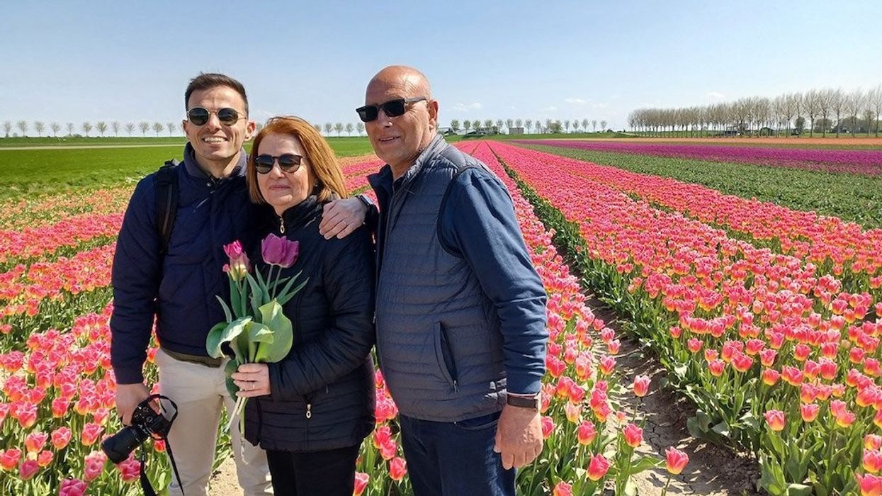 Amsterdam Tulips Tour