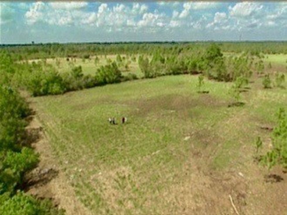 An image of the Alabama Coast zoo before construction began