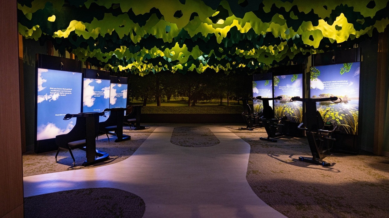 An interactive Brain Tech Center exhibit with leaf-patterned ceiling and screens in a nature-themed room.