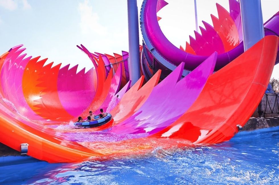 Anaconda, Paradise Maya OCT