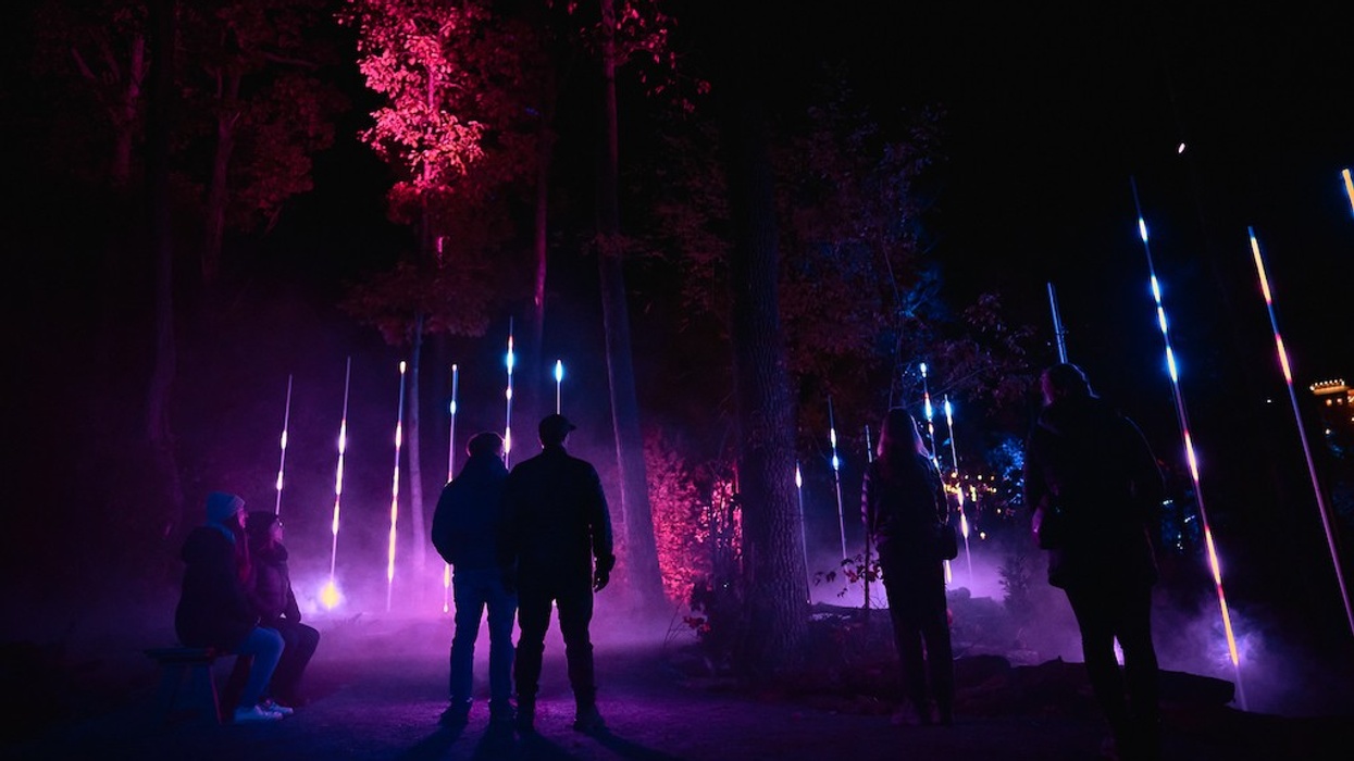 Anakeesta ASTRA LUMINA night walk