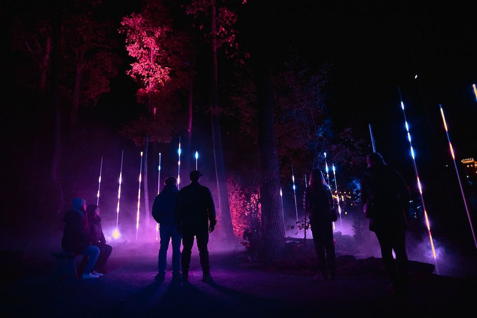 Anakeesta ASTRA LUMINA night walk