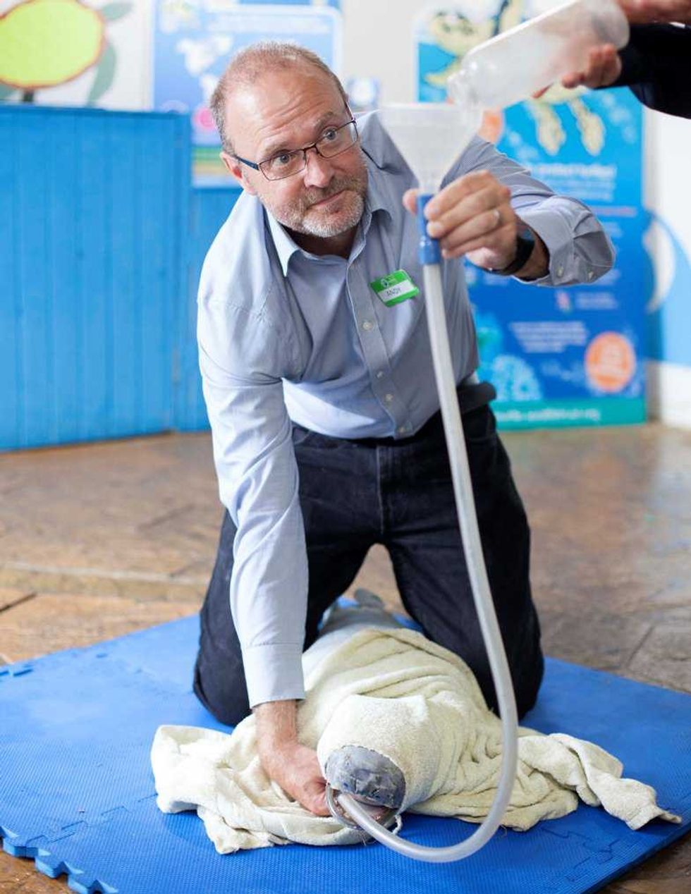 andy bool feeding seal pup at cornish seal sanctuary