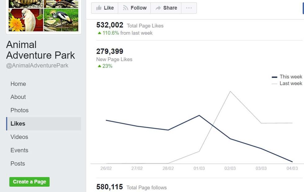 animal adventure park facebook april the giraffe