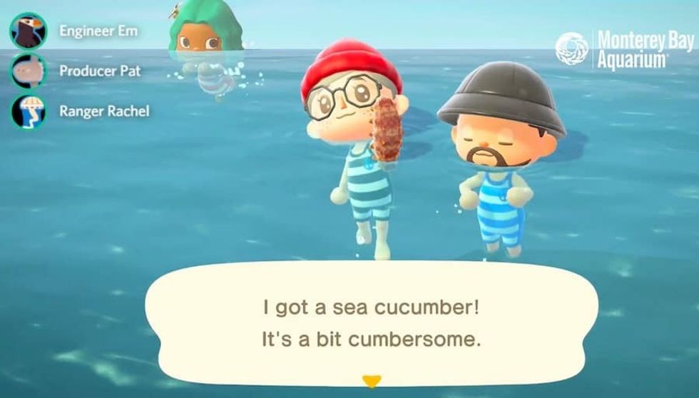 Animal Crossing stream Monterey Bay Aquarium