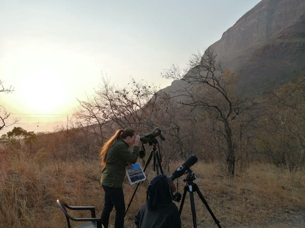 Animal Keeper Katie Vincent_survey wild vultures
