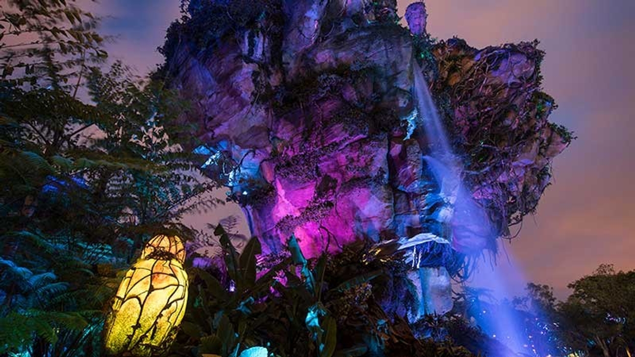 Animal Kingdom after hours disney