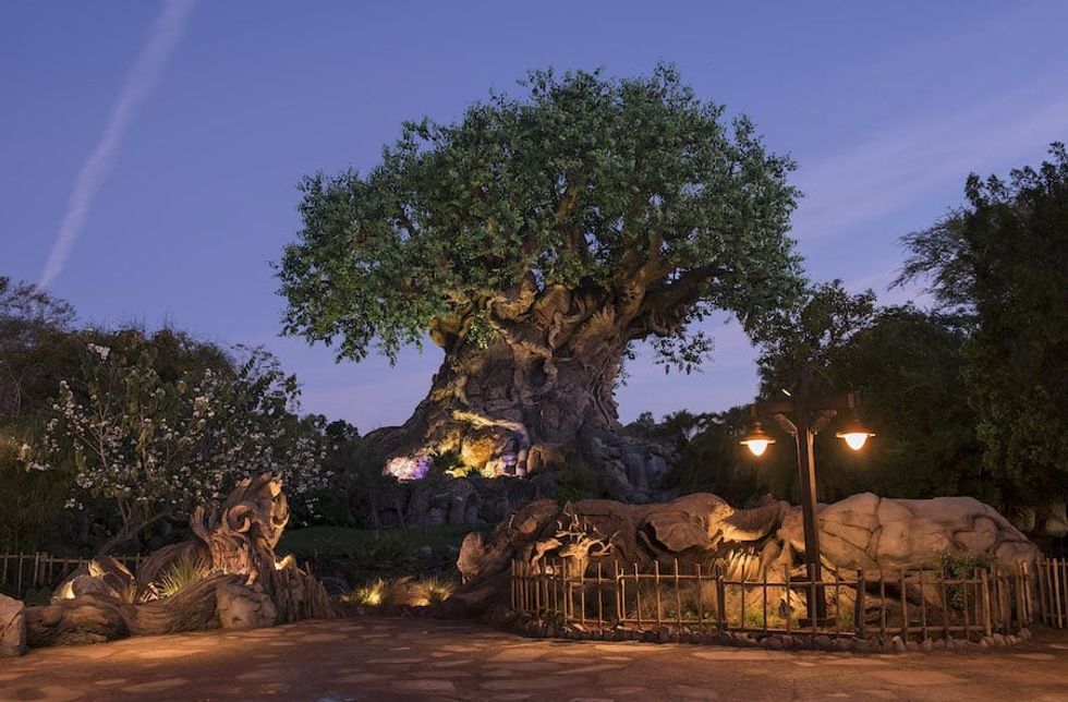 Animal Kingdom's Tree of Life, the centrepiece of Discovery Island