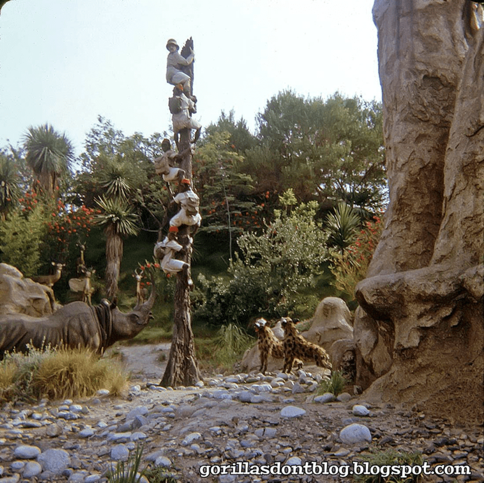 animal safari Disneyland