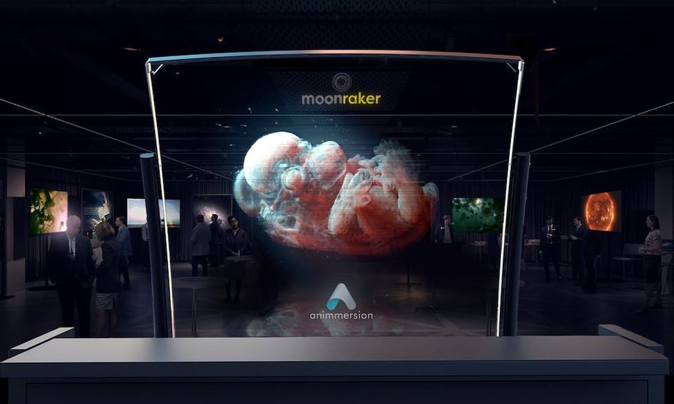 Animmersion Moonraker