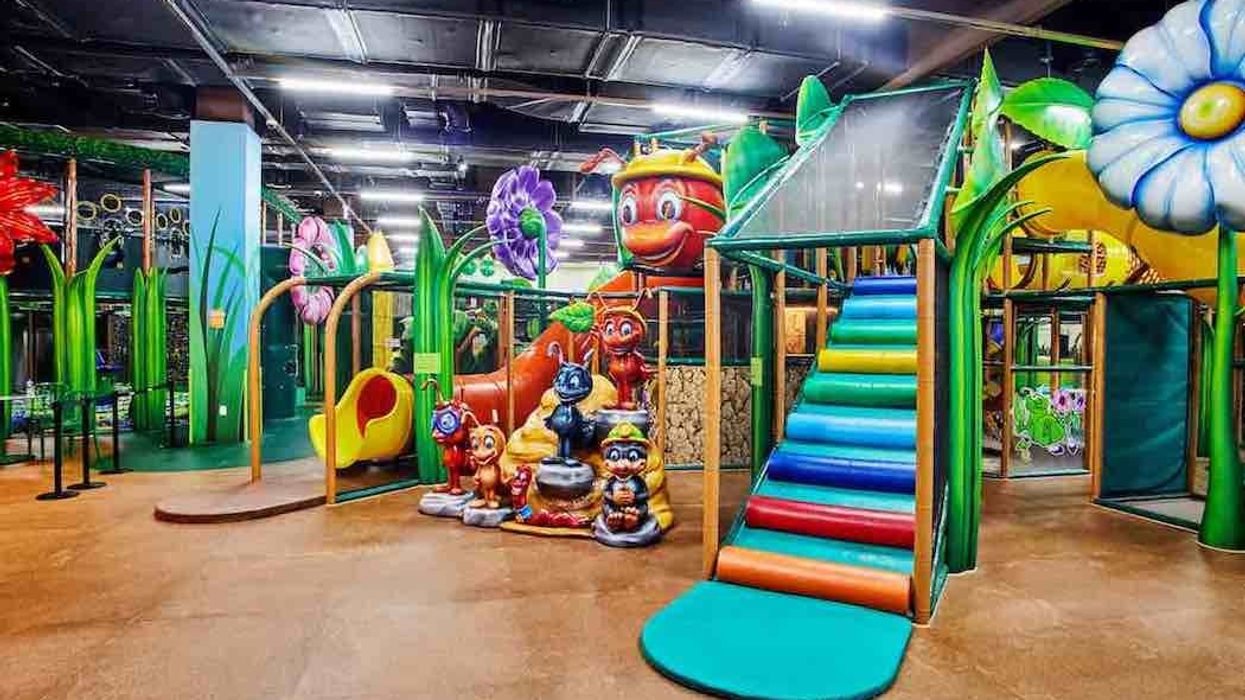 Ant World iplayco vivaldi park