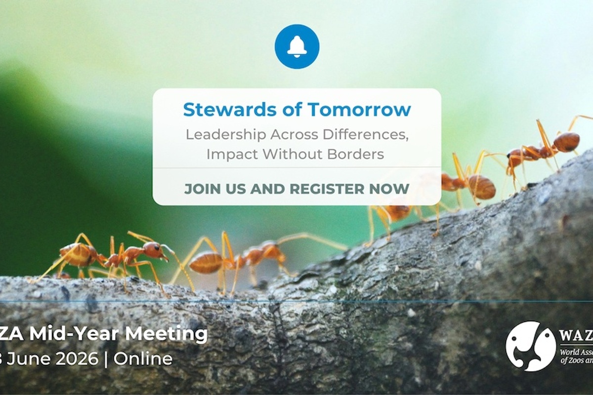 Ants on a branch with text about WAZA Mid-Year Meeting, 17-18 June 2026, online.