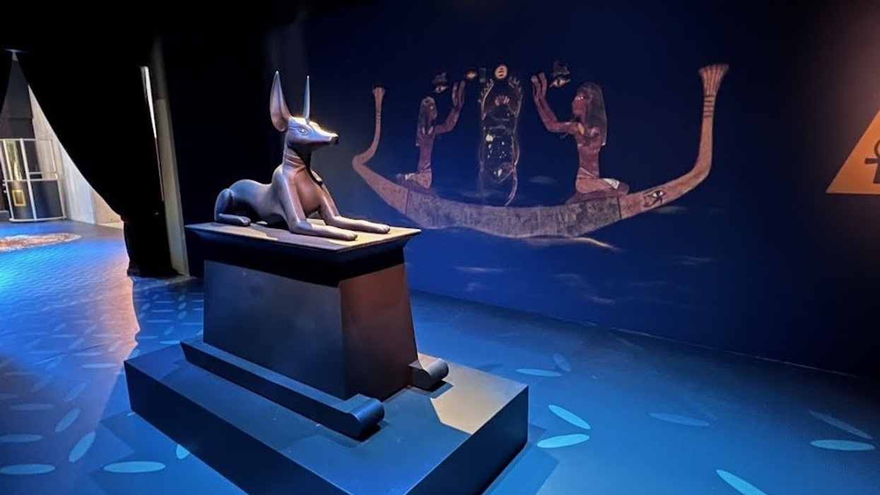 Anubis exhibit