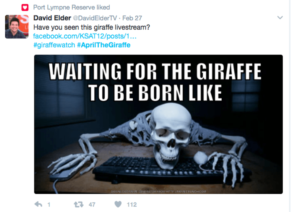 april the giraffe baby skeleton twitter