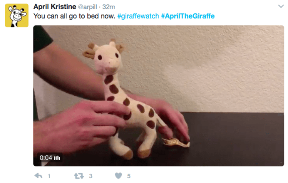 april the giraffe twitter