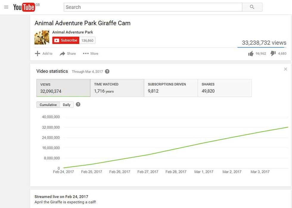 april the giraffe youtube stats