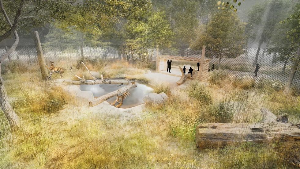 aqua tiger habitat noahs ark zoo