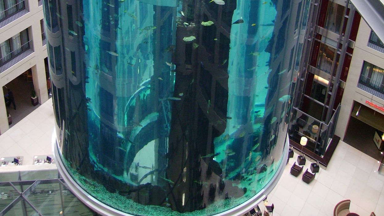 aquadom aquarium berlin