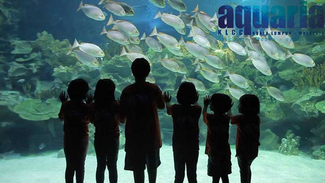 Aquaria KLCC malaysia aquarium expansion