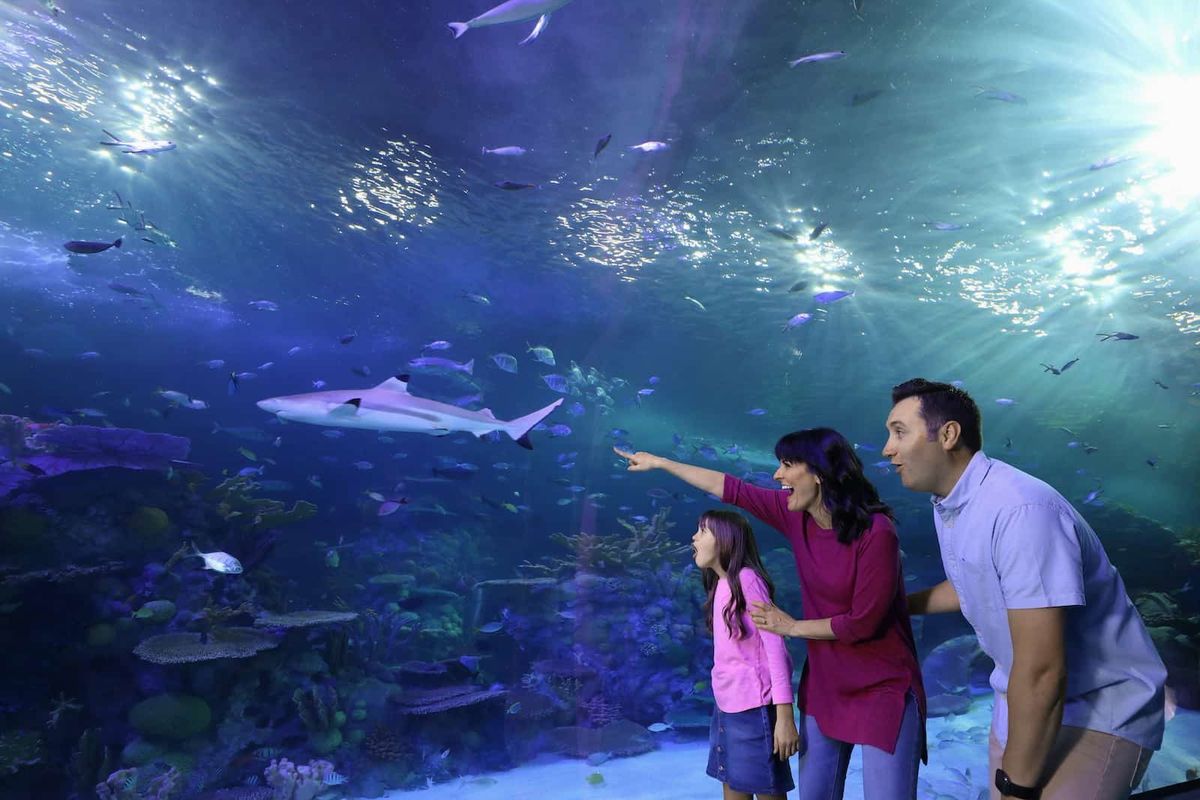 Aquarium at the Boardwalk