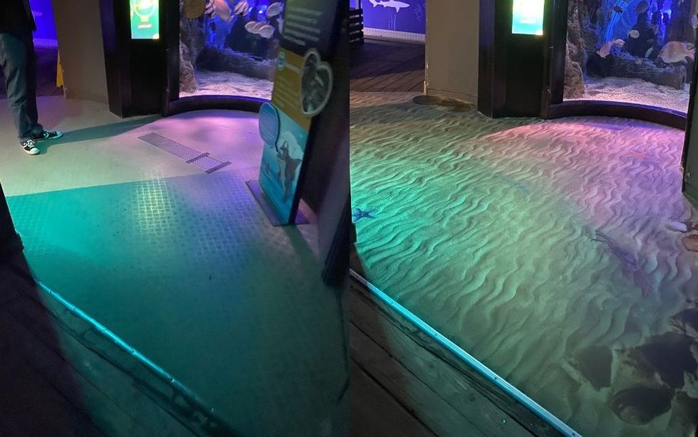 Aquarium entrance lit with dynamic ocean floor pattern projection.