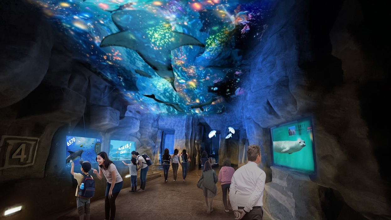 Aquarium exhibition at Ocean Park with immersive marine projections and visitors observing sea life displays.