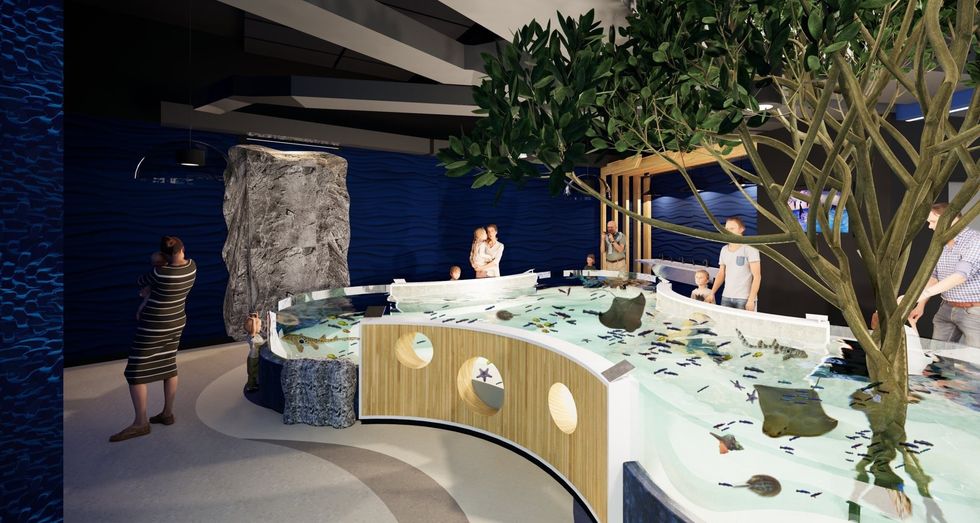 aquarium of niagara shark and ray bay