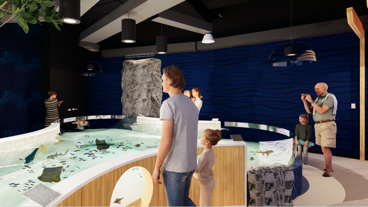 aquarium of niagara shark and ray bay