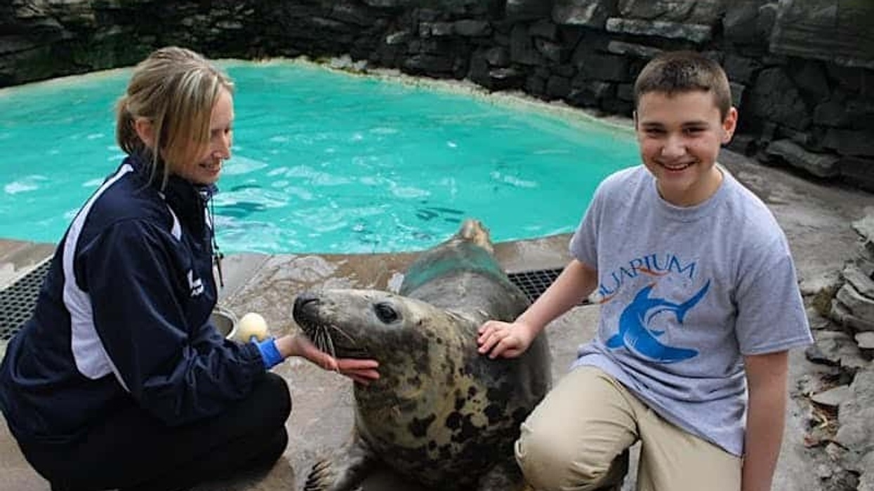 aquarium of niagara