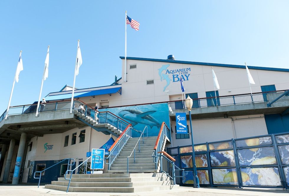 Aquarium of the Bay