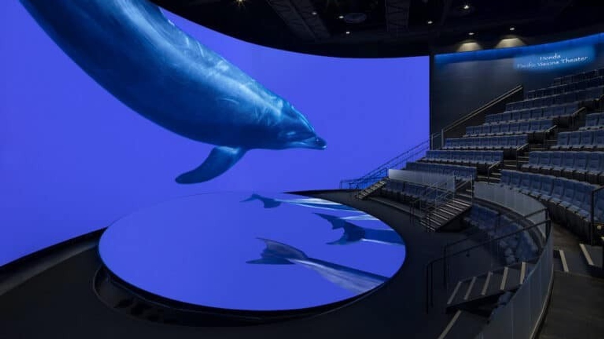 Aquarium of the Pacific / Pacific Visions 7thSense Design