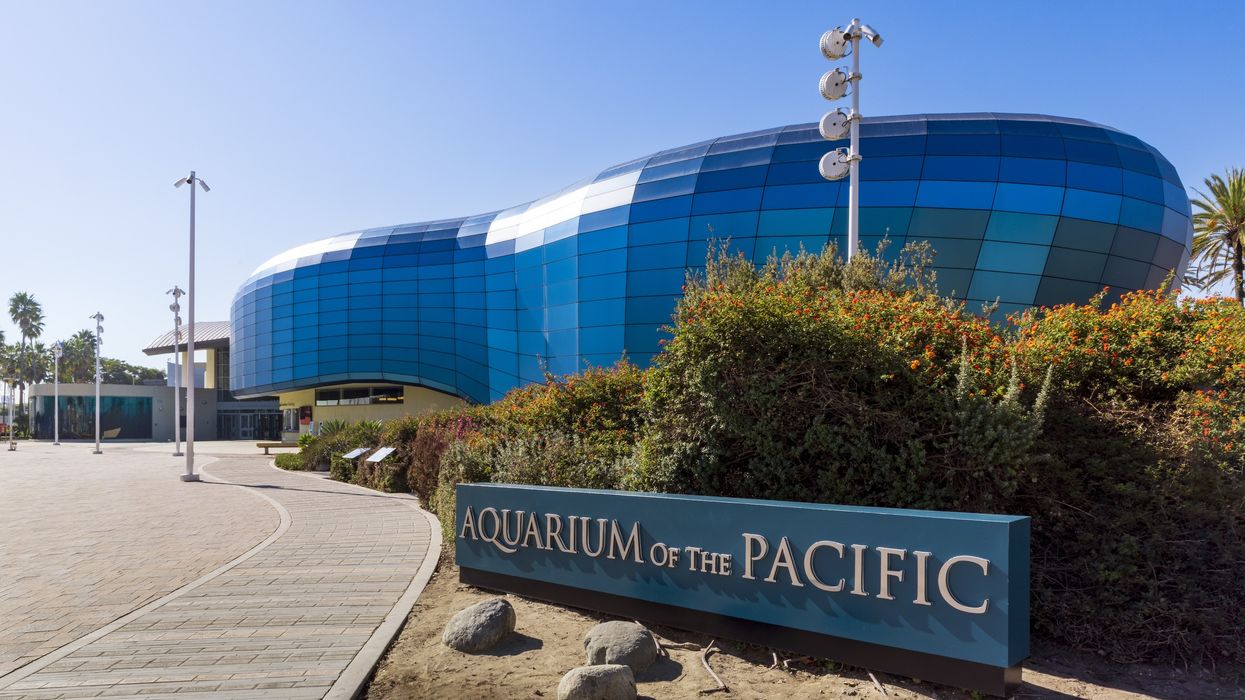 aquarium of the pacific