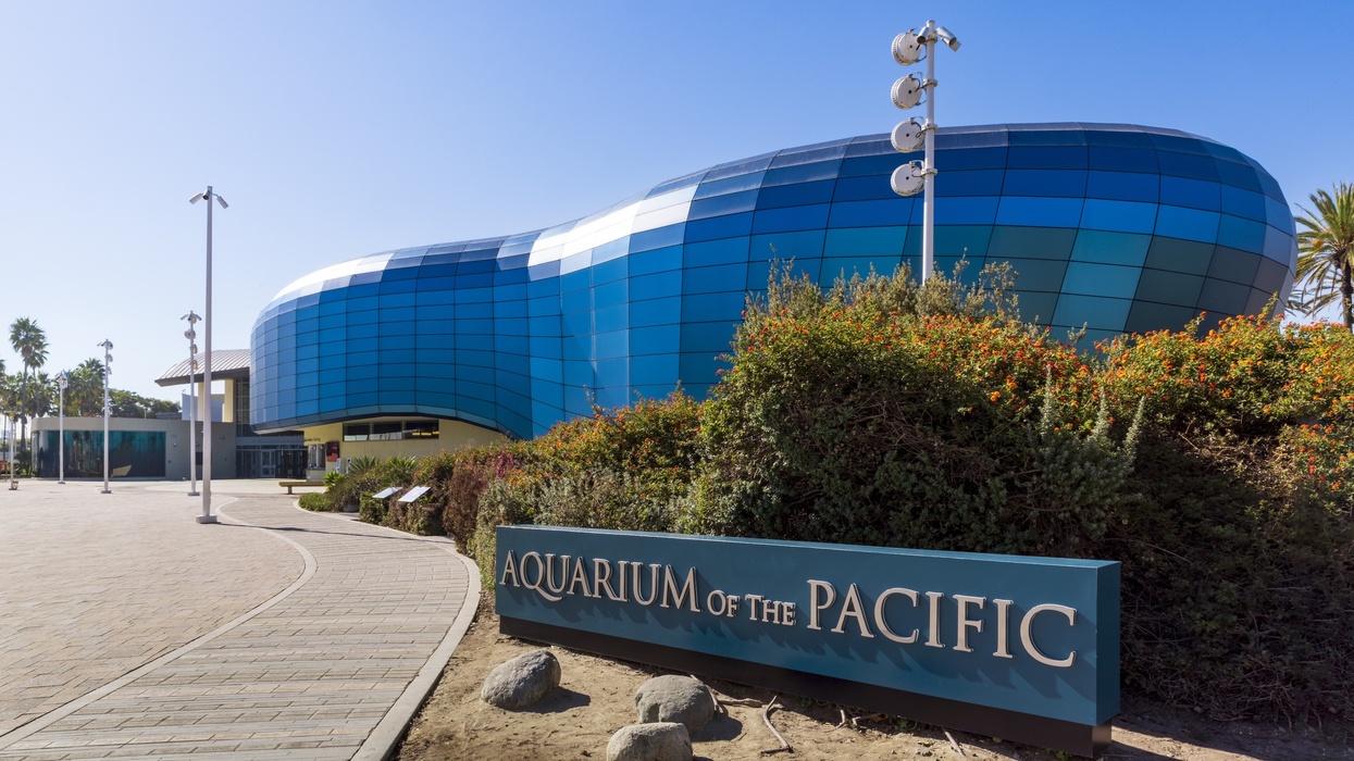 aquarium of the pacific
