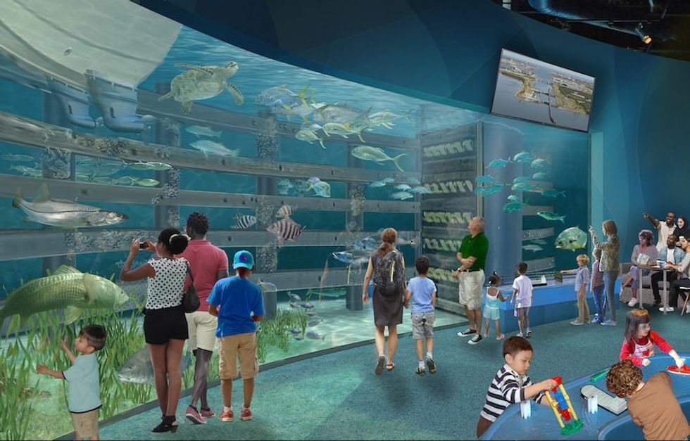 aquarium rendering brevard zoo