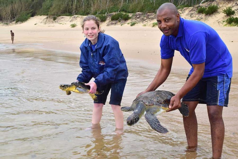 Aquarium-turtle-release-rehabilitation SAAMBR
