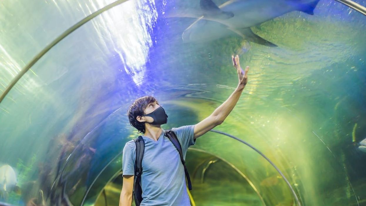 Aquarium-visitor-in-mask