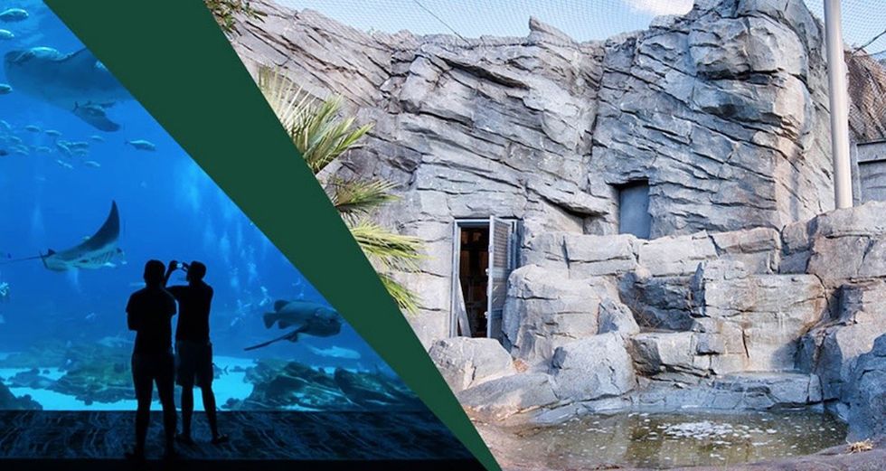 Aquarium visitors observing fish; rocky exhibit entrance on the right.