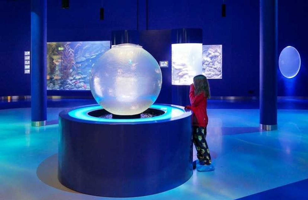 aquariums at polarium exhibition in rostock zoo