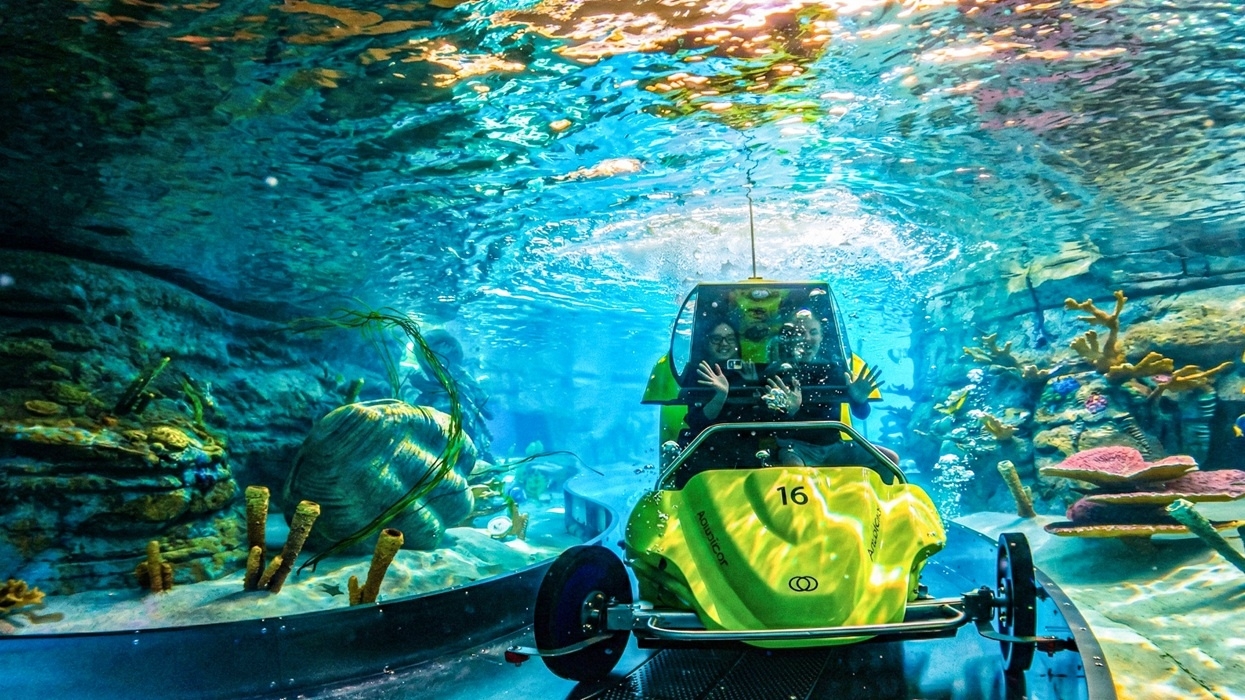 Aquaticar: Legend of the Glowing Guardian