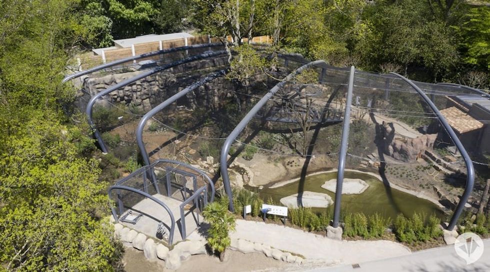 Aralandia Wuppertal Zoo dan pearlman