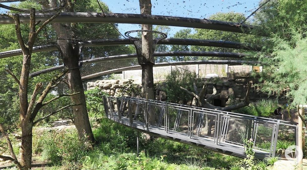 Aralandia Wuppertal Zoo dan pearlman