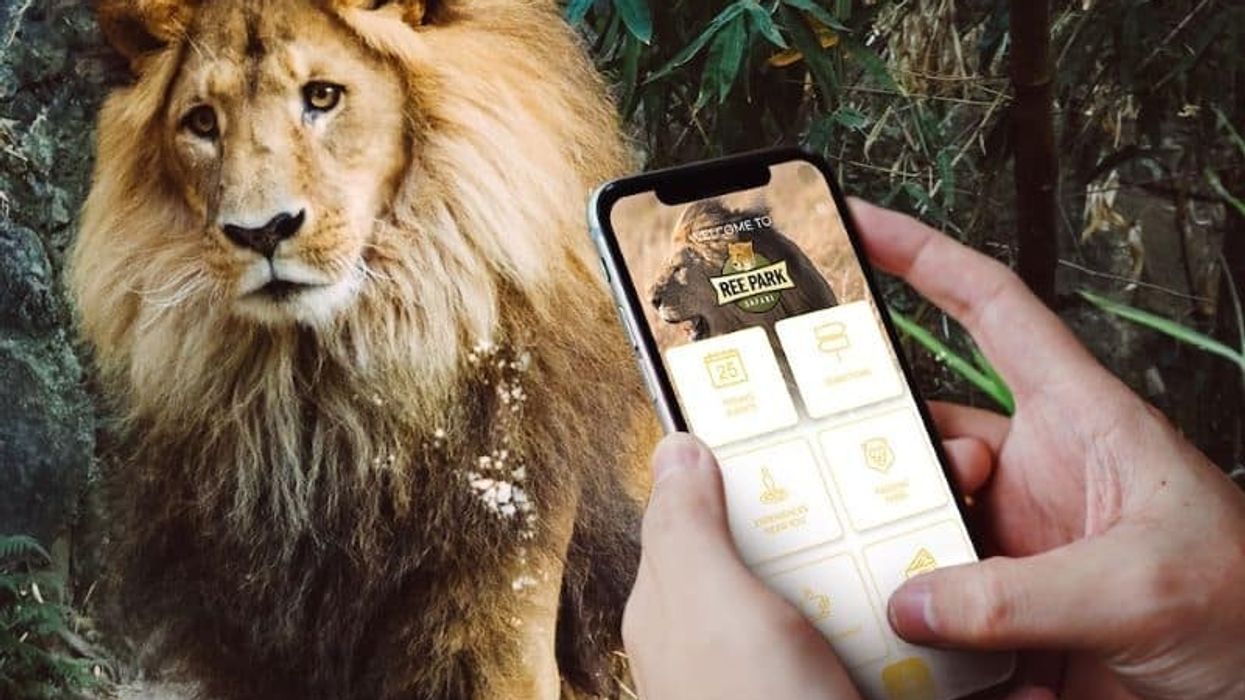 aratag app in front of a lion
