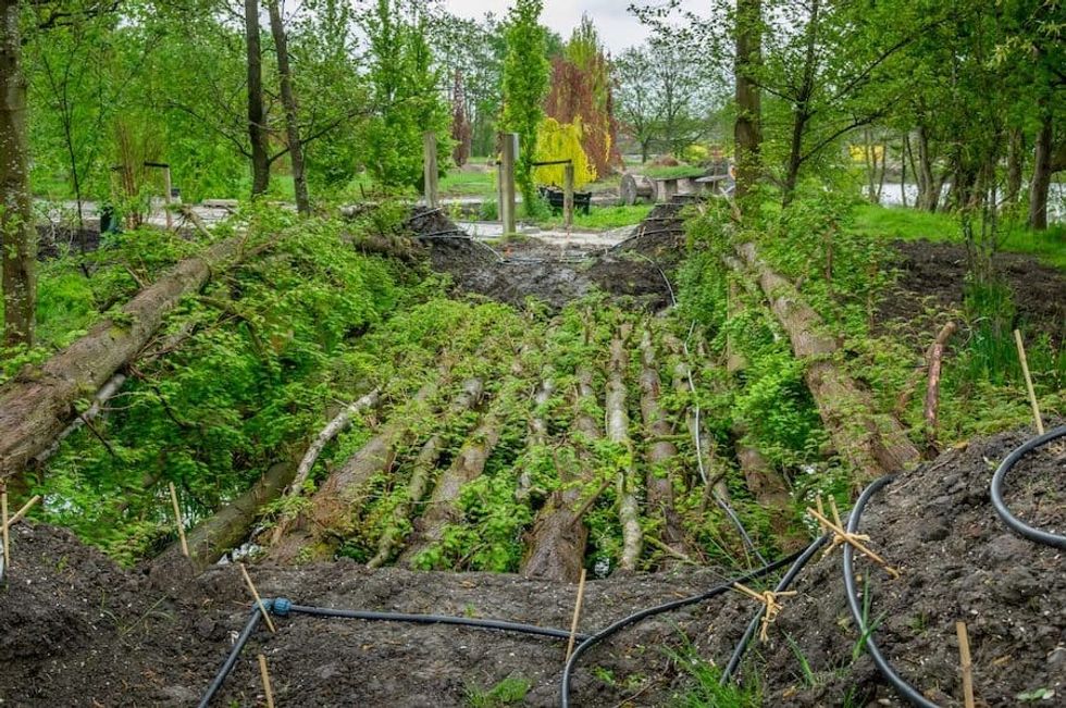 Arboretum_Living-bridge-Floriade Green cities
