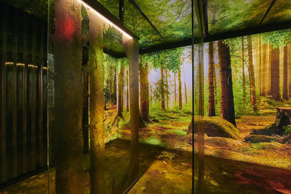 Arcadia Earth Las Vegas forest