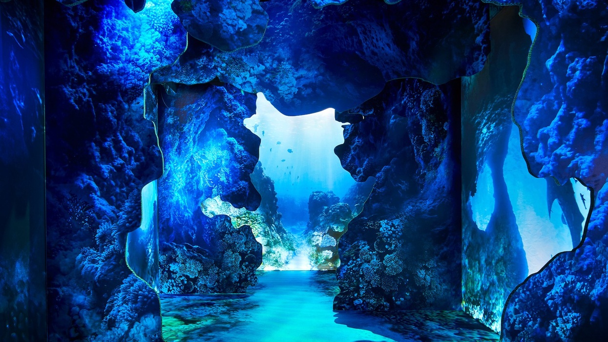 arcadia earth