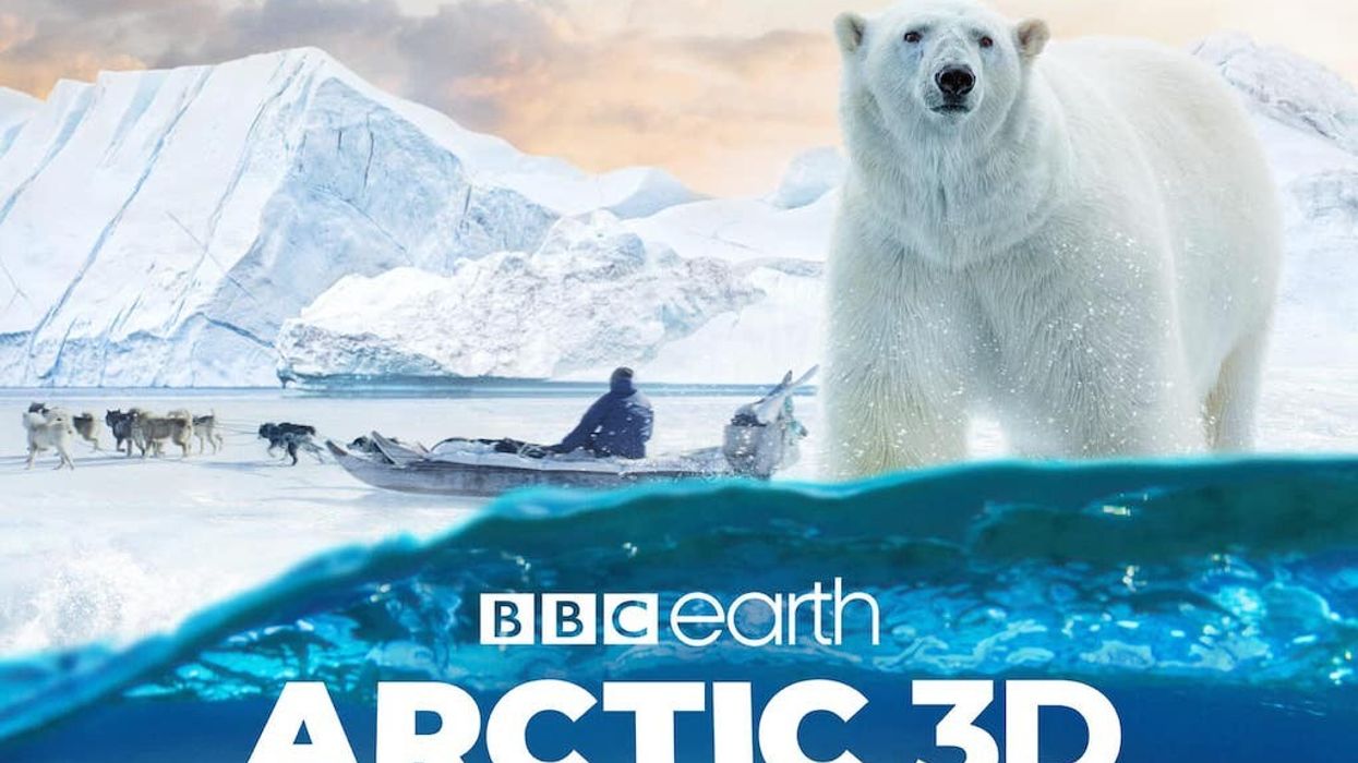Arctic 3D Our Frozen Planet D3D