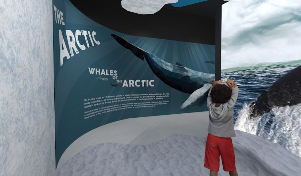 Arctic concept reefLIVE Belfast