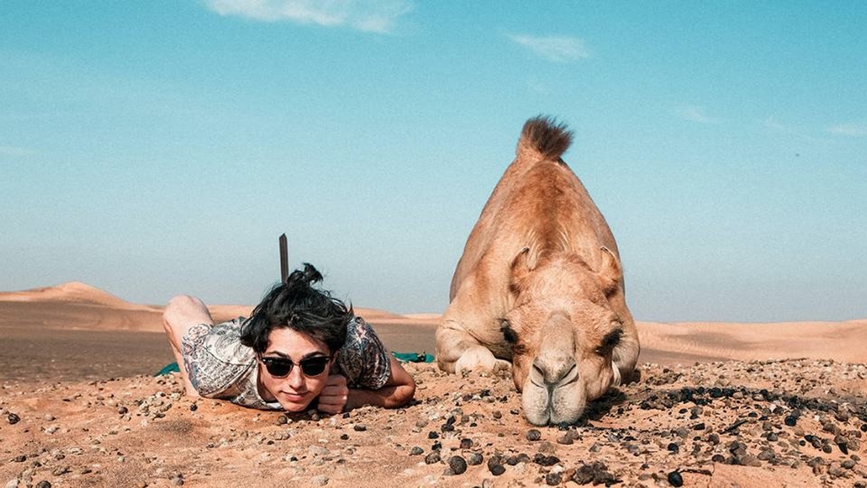 Arival camel
