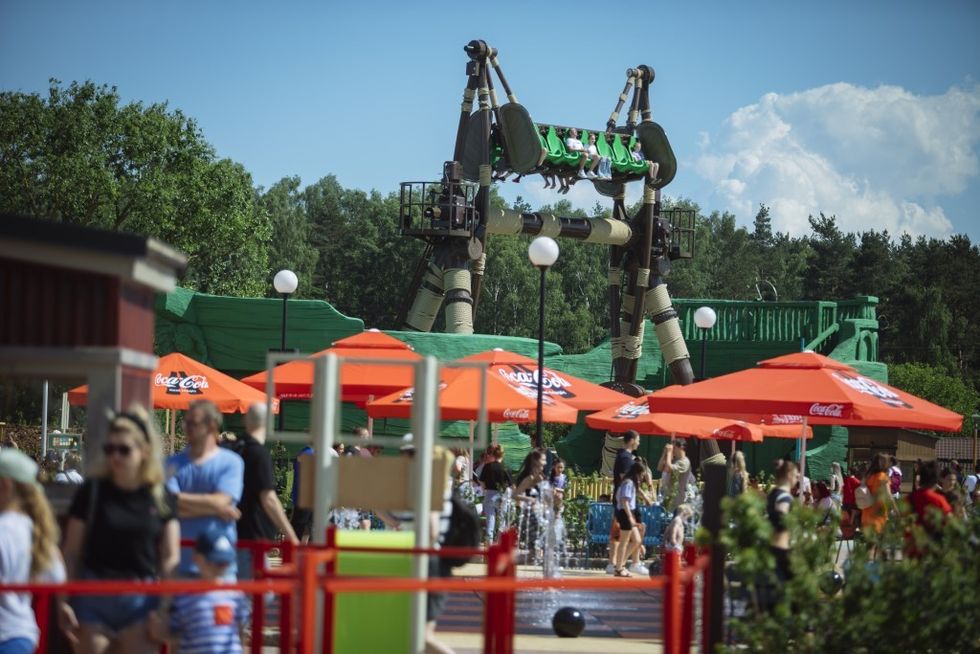 ART Engineering Wild Swing MAJALAND Gansk