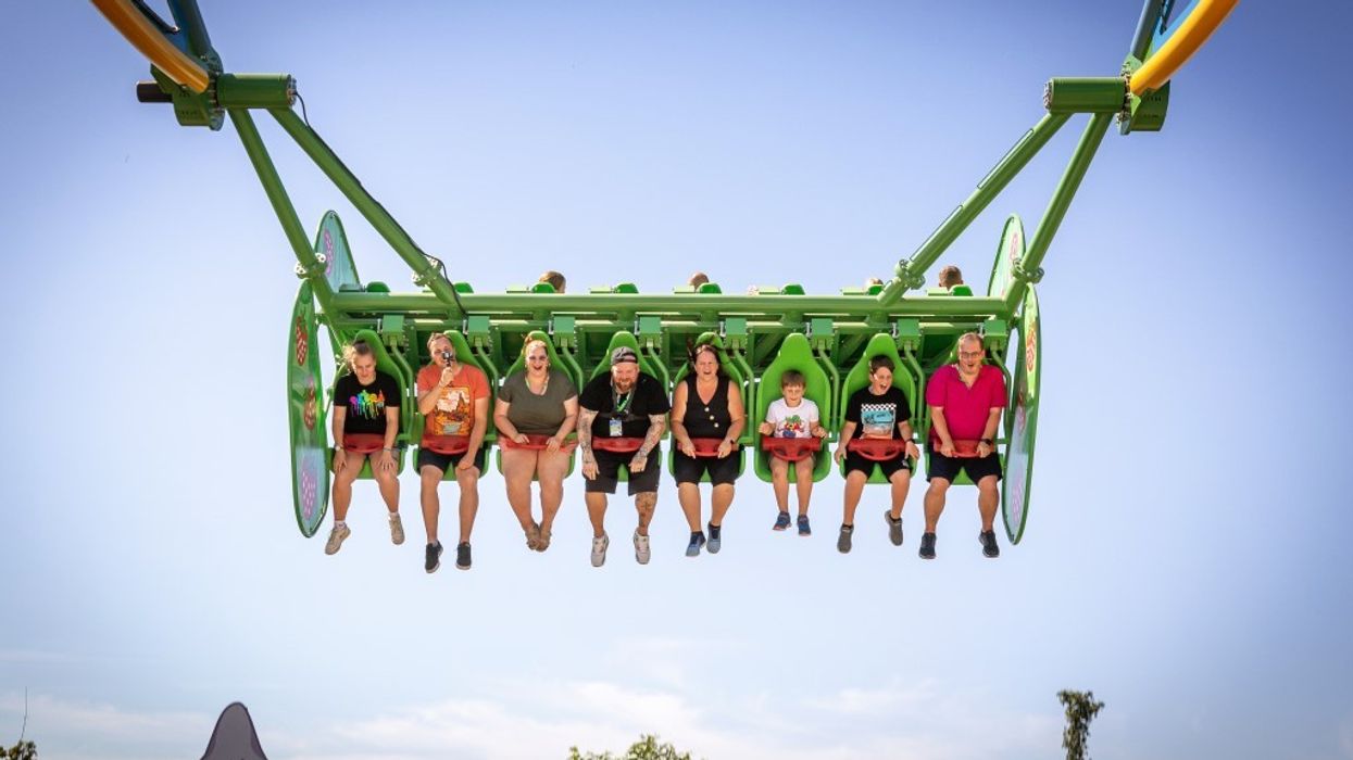 ART Engineering Wild Swing